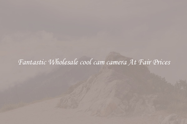 Fantastic Wholesale cool cam camera At Fair Prices