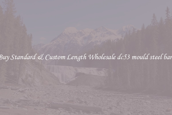 Buy Standard & Custom Length Wholesale dc53 mould steel bars