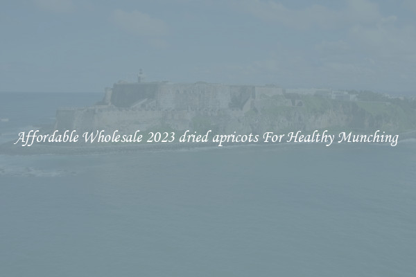 Affordable Wholesale 2023 dried apricots For Healthy Munching 