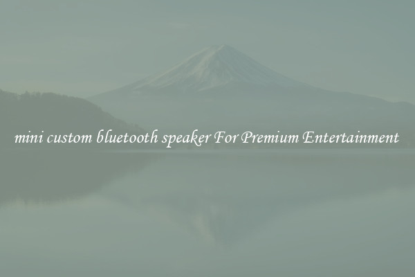 mini custom bluetooth speaker For Premium Entertainment 