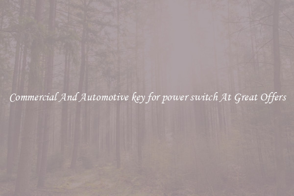 Commercial And Automotive key for power switch At Great Offers
