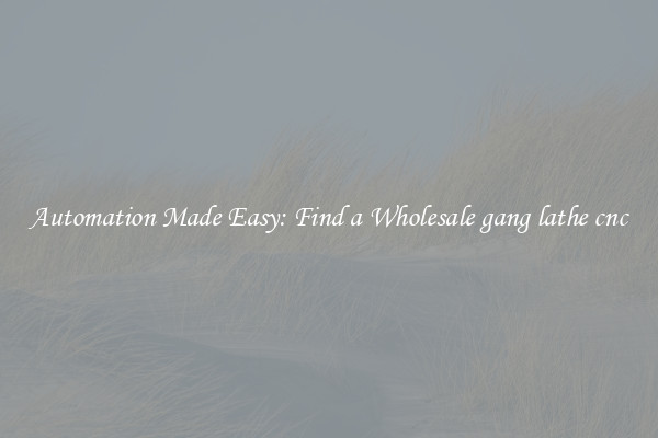  Automation Made Easy: Find a Wholesale gang lathe cnc 