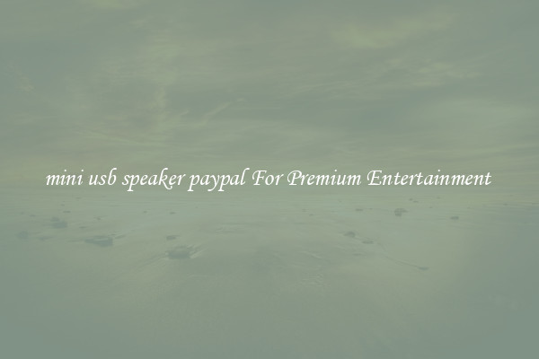 mini usb speaker paypal For Premium Entertainment 