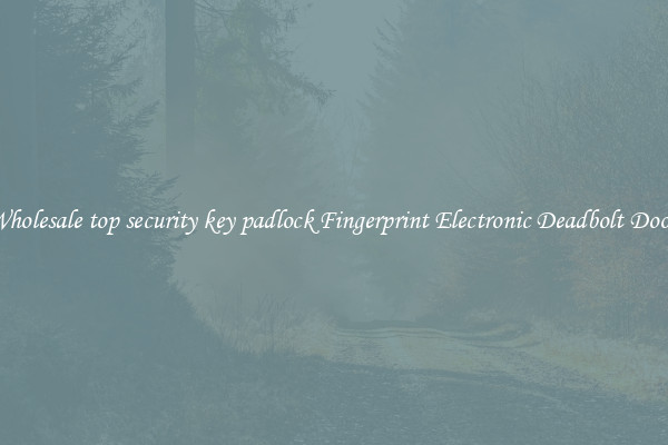 Wholesale top security key padlock Fingerprint Electronic Deadbolt Door 