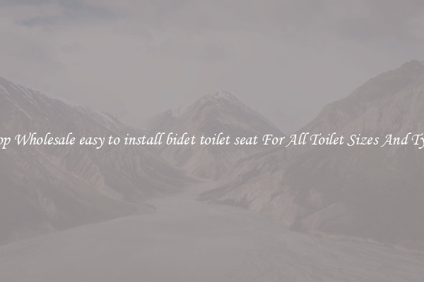 Shop Wholesale easy to install bidet toilet seat For All Toilet Sizes And Types