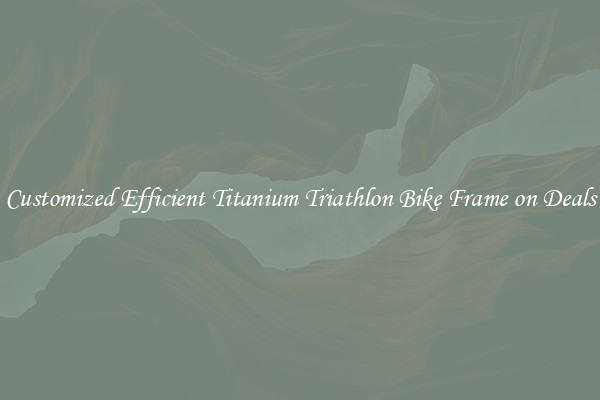 Customized Efficient Titanium Triathlon Bike Frame on Deals