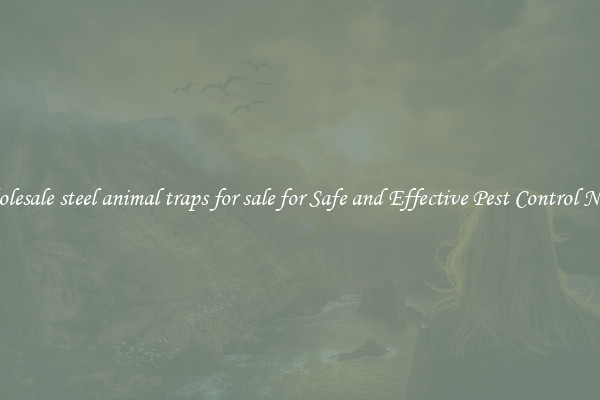 Wholesale steel animal traps for sale for Safe and Effective Pest Control Needs