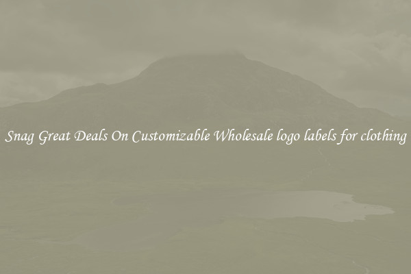 Snag Great Deals On Customizable Wholesale logo labels for clothing