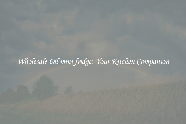 Wholesale 68l mini fridge: Your Kitchen Companion