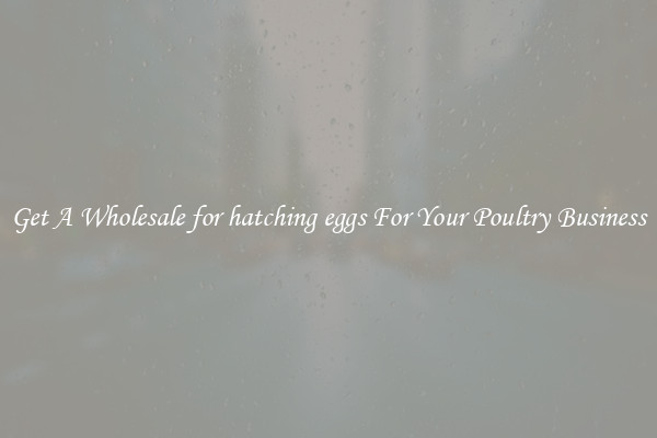 Get A Wholesale for hatching eggs For Your Poultry Business