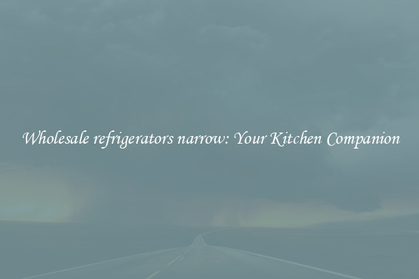 Wholesale refrigerators narrow: Your Kitchen Companion