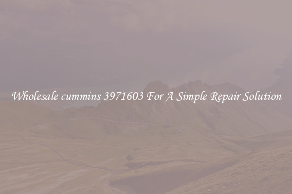 Wholesale cummins 3971603 For A Simple Repair Solution