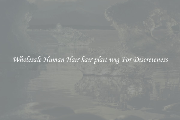 Wholesale Human Hair hair plait wig For Discreteness