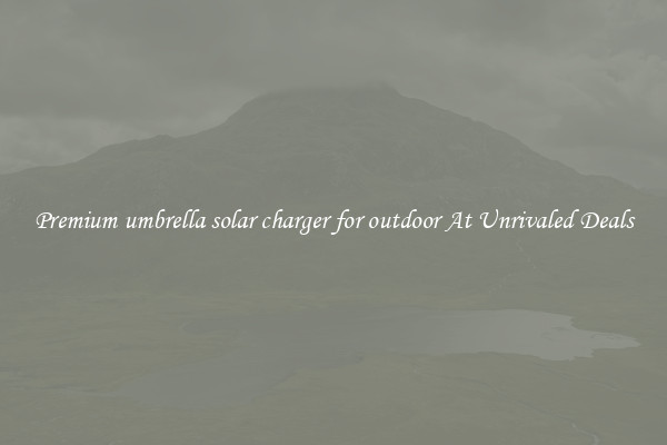 Premium umbrella solar charger for outdoor At Unrivaled Deals