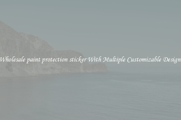Wholesale paint protection sticker With Multiple Customizable Designs