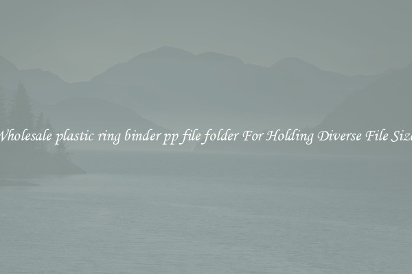 Wholesale plastic ring binder pp file folder For Holding Diverse File Sizes