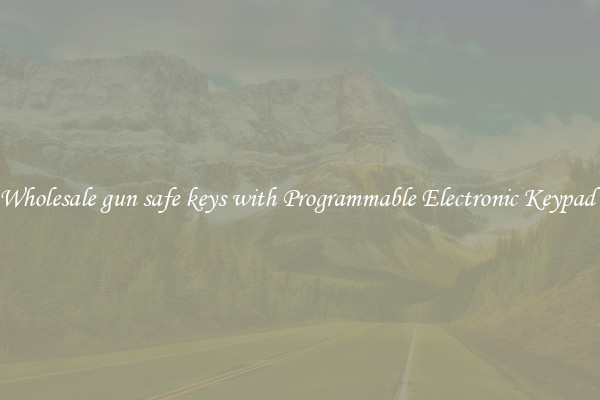 Wholesale gun safe keys with Programmable Electronic Keypad 