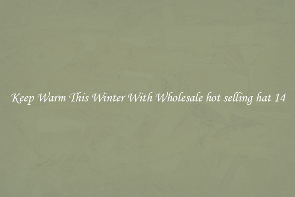 Keep Warm This Winter With Wholesale hot selling hat 14