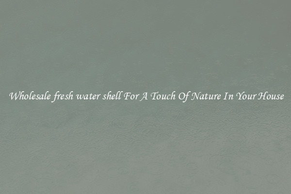 Wholesale fresh water shell For A Touch Of Nature In Your House