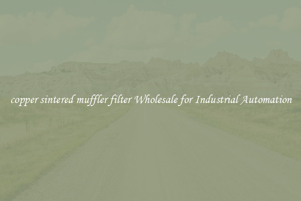  copper sintered muffler filter Wholesale for Industrial Automation 